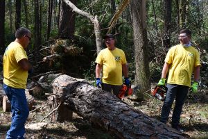 PLANNING – Buddy Driggers from Quincy, left, and Gary and David Knudson of Tallahassee discuss plans to cut up a fallen tree in Daphne, Alabama.