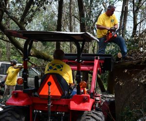 ELEVATION - Lane Wright, Richard Garst, and Jason Beyer work on cutting up downed trees in Daphne, Alabama.