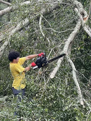 Volunteer operating a chainsaw