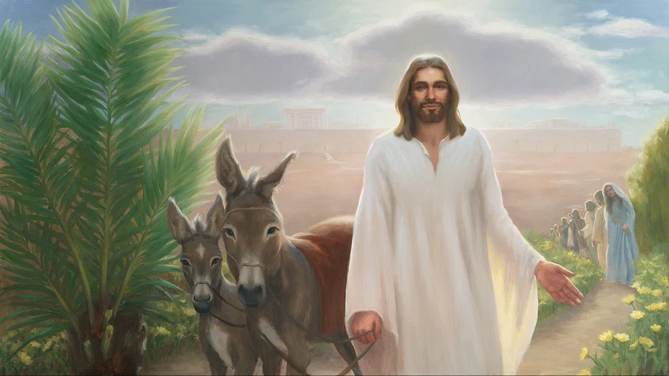 An Invitation to Learn About Jesus